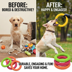 CURAPETS Ring Puller Dog Training Toy