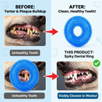 CURAPETS Squeaky TPR Molar Chew Toy