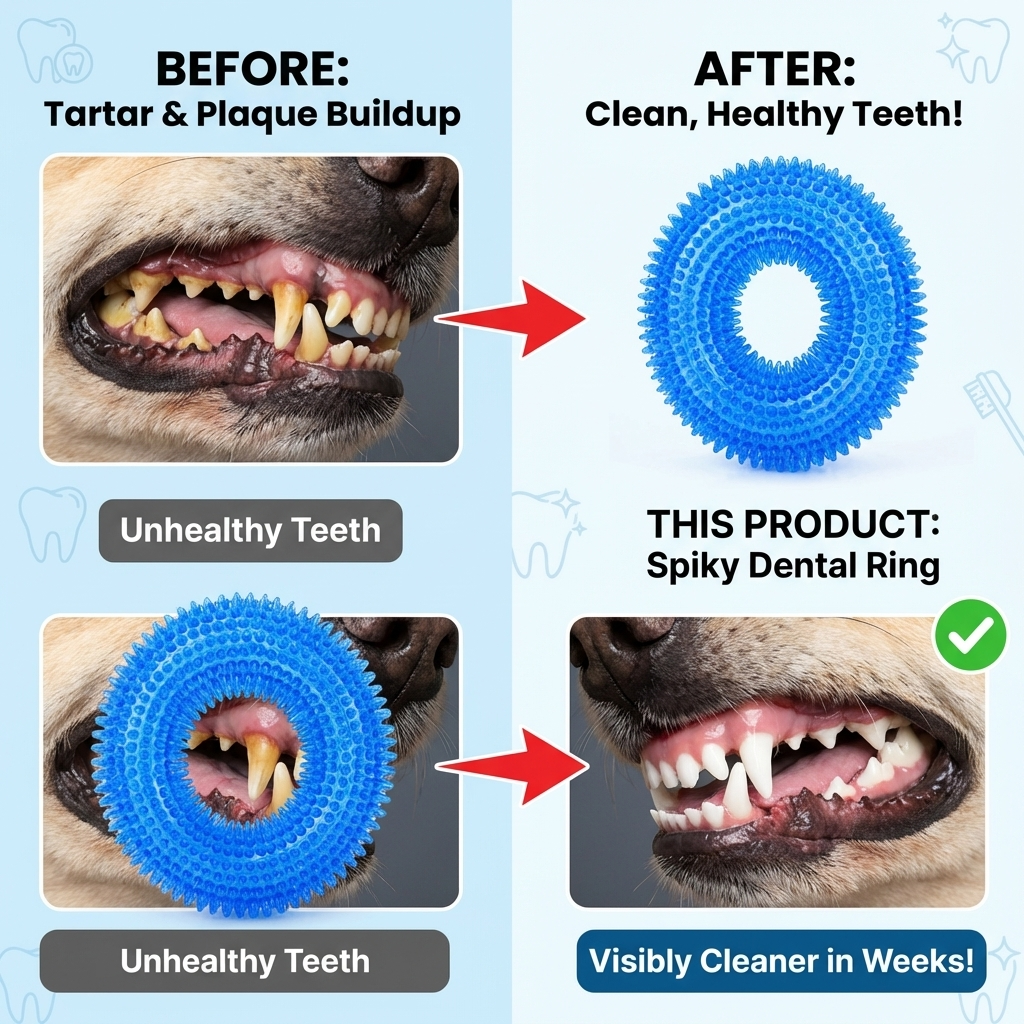 CURAPETS Squeaky TPR Molar Chew Toy