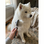CURAPETS One-Button Deshedding Brush