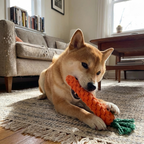 CURAPETS Carrot Rope Chew Toy