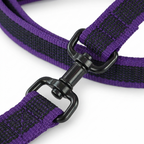 CURAPETS Dual-Color Long Training Leash