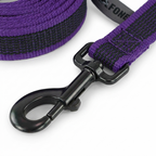 CURAPETS Dual-Color Long Training Leash