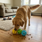 CURAPETS Bite-Resistant Treat Ball Toy