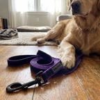 CURAPETS Dual-Color Long Training Leash