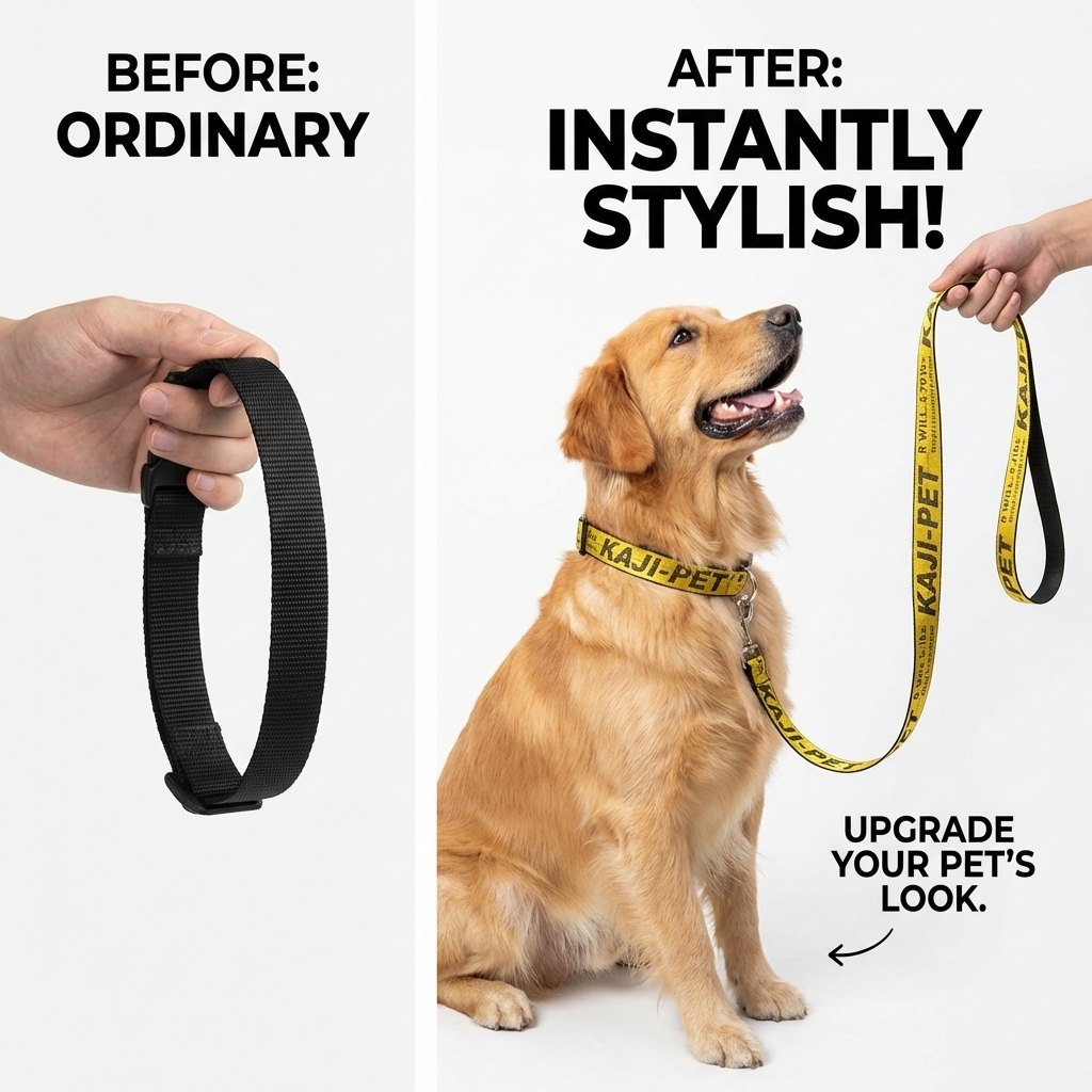 CURAPETS Everyday Harness & Leash Set