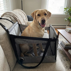 CURAPETS Portable Waterproof Dog Car Seat
