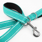 CURAPETS Night Reflective Training Lead Leash