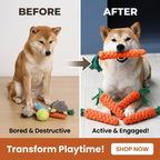CURAPETS Carrot Rope Chew Toy