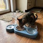 CURAPETS Anti-Tip Cat Bowl Feeder