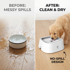 CURAPETS Duo Pet Feeding Bowl Set