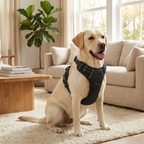 CURAPETS Leather Vest Harness & Leash Set