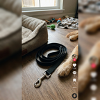 CURAPETS Long-Run Training Leash