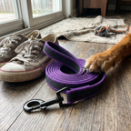 CURAPETS Dual-Color Long Training Leash