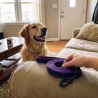 CURAPETS Dual-Color Long Training Leash
