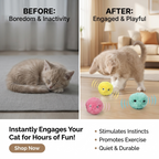CURAPETS Smart Sounding Catnip Ball Toy