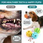 CURAPETS Bite-Resistant Treat Ball Toy