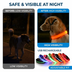 CURAPETS Luminous LED Night Safety Collar