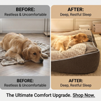 CURAPETS Cozy Winter Nest Bed