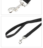 CURAPETS Long-Range Nylon Dog Training Leash