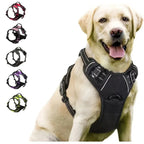 CURAPETS Leather Vest Harness & Leash Set