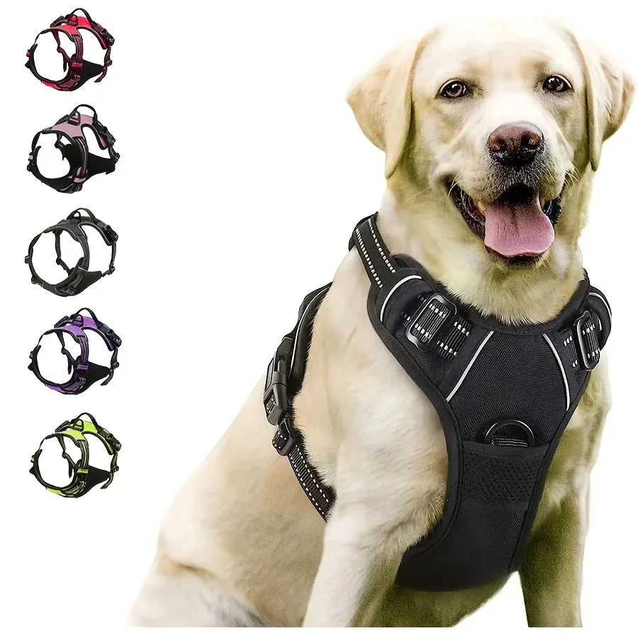 CURAPETS Leather Vest Harness & Leash Set
