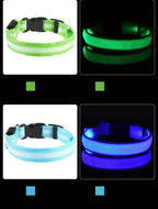 CURAPETS Luminous LED Night Safety Collar