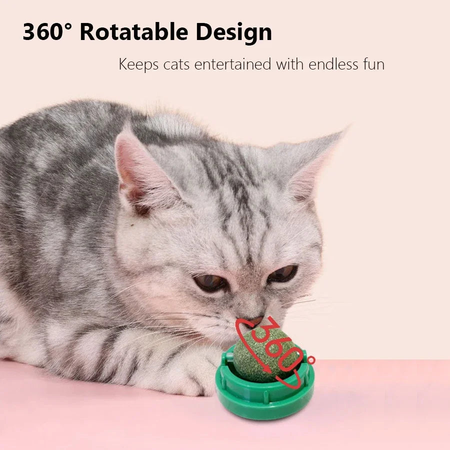 CURAPETS Spinning Catnip Dental Toy