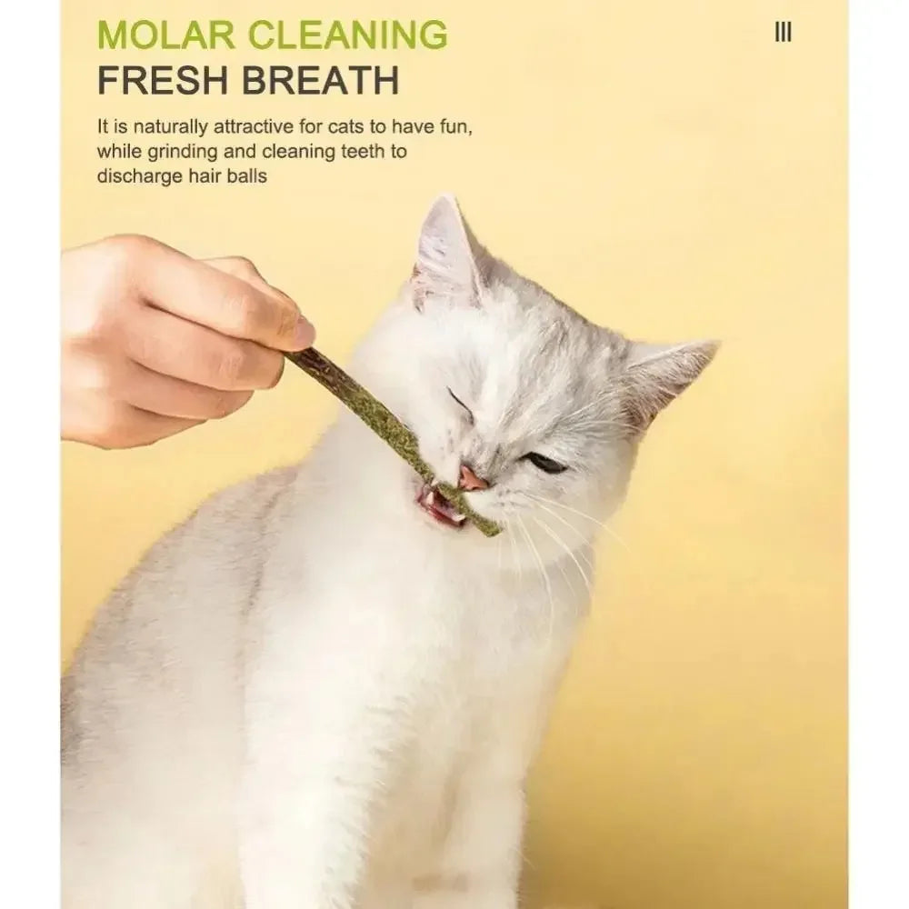 CURAPETS Natural Silvervine Cat Chew Sticks
