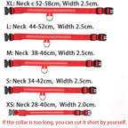 CURAPETS Luminous LED Night Safety Collar