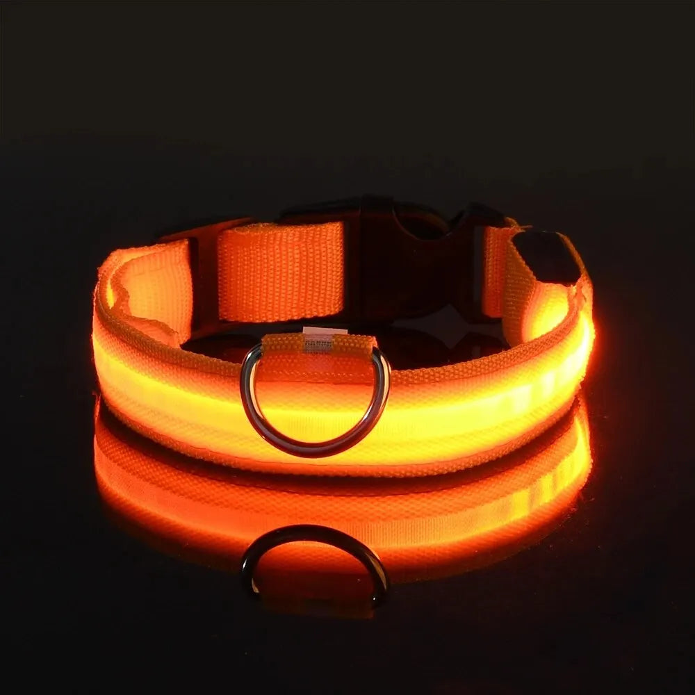 CURAPETS Luminous LED Night Safety Collar