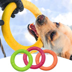 CURAPETS Ring Puller Dog Training Toy