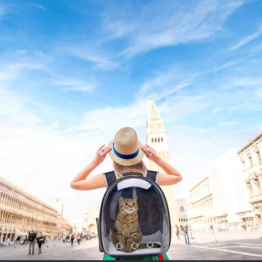 CURAPETS Bubble Capsule Cat Carrier Backpack
