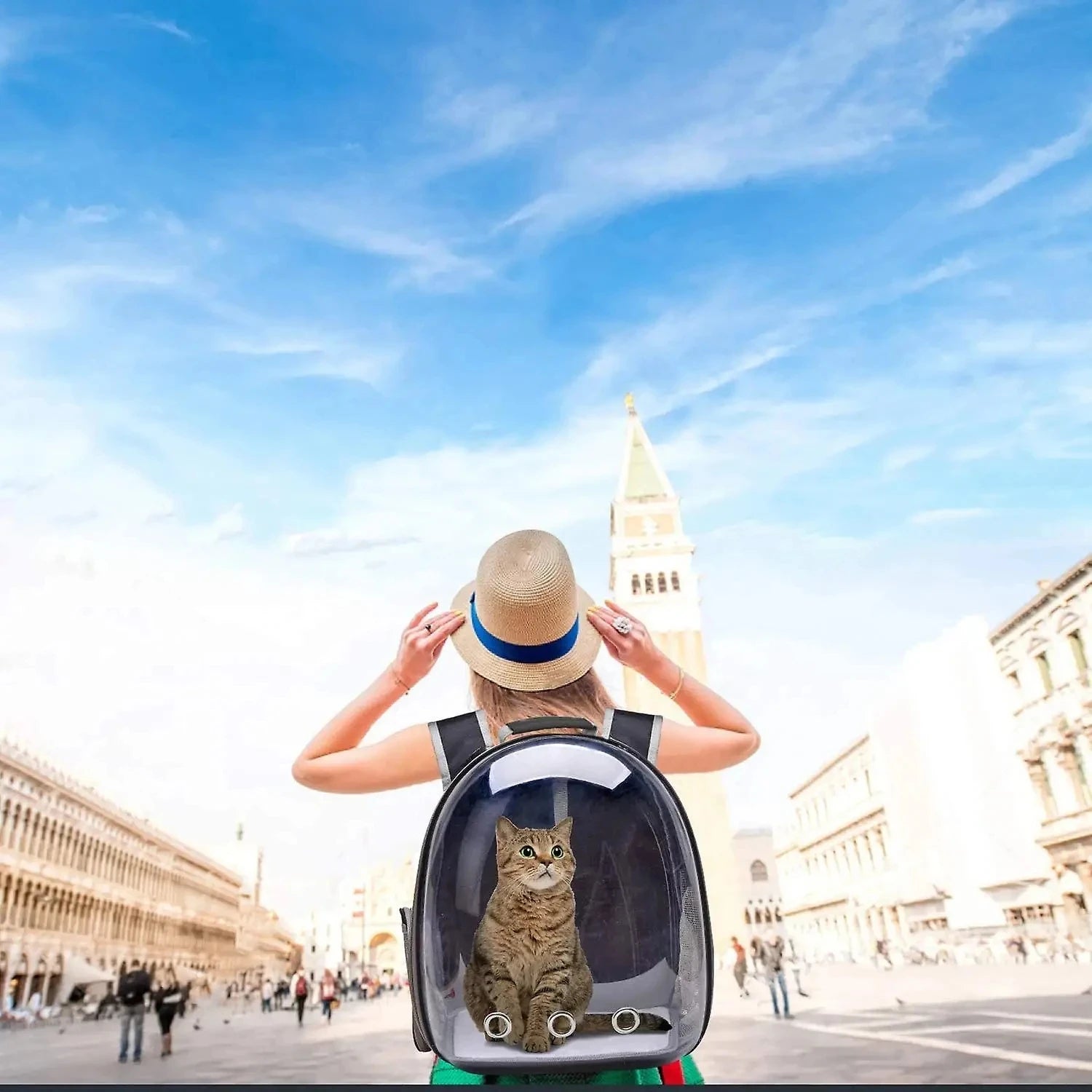 CURAPETS Bubble Capsule Cat Carrier Backpack