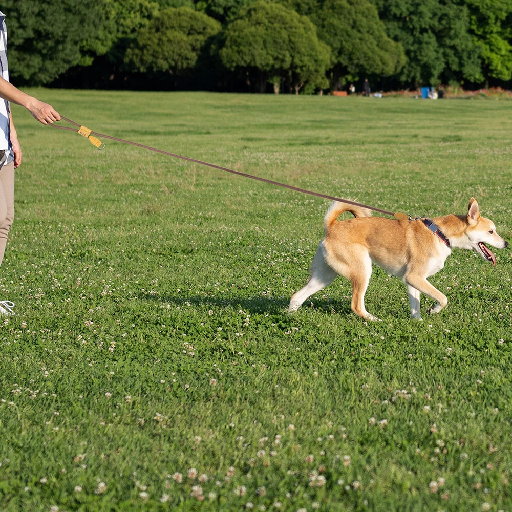 CURAPETS Hands-Free Running Dog Leash