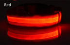 CURAPETS Luminous LED Night Safety Collar