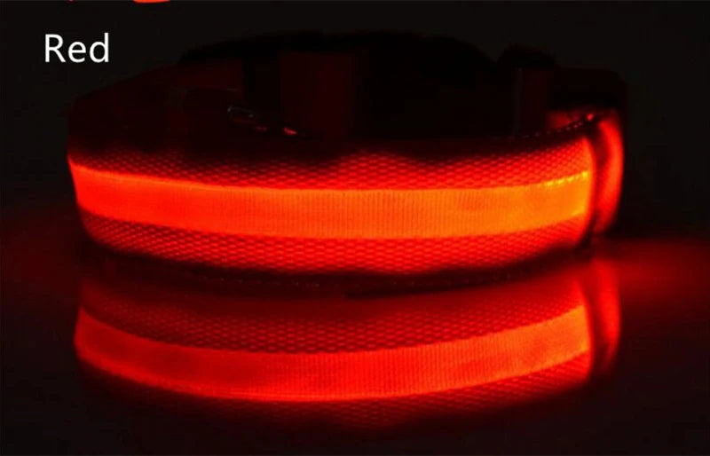 CURAPETS Luminous LED Night Safety Collar