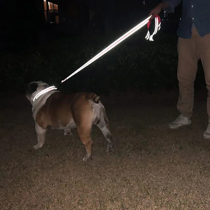CURAPETS Night Reflective Training Lead Leash
