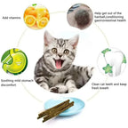 CURAPETS Natural Silvervine Cat Chew Sticks