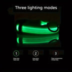 CURAPETS Luminous LED Night Safety Collar
