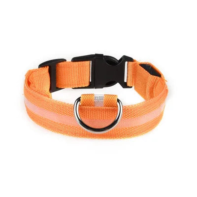 CURAPETS Luminous LED Night Safety Collar