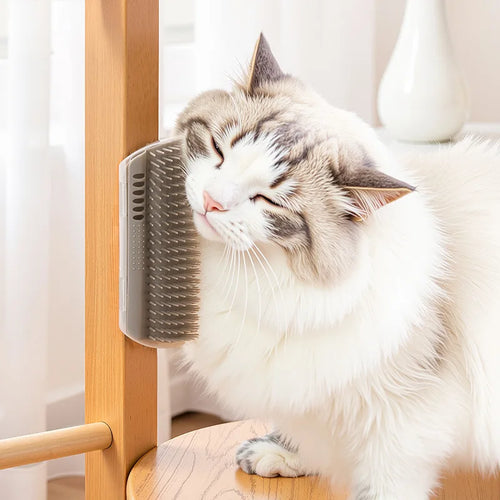 CURAPETS Catnip Self-Grooming Wall Brush