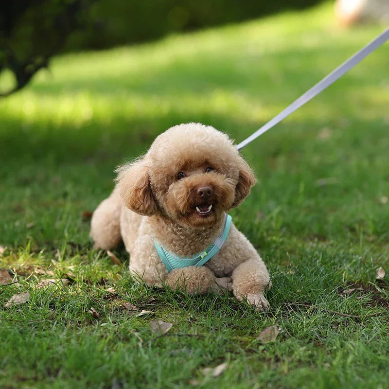 CURAPETS Reflective Puppy Harness & Leash Set
