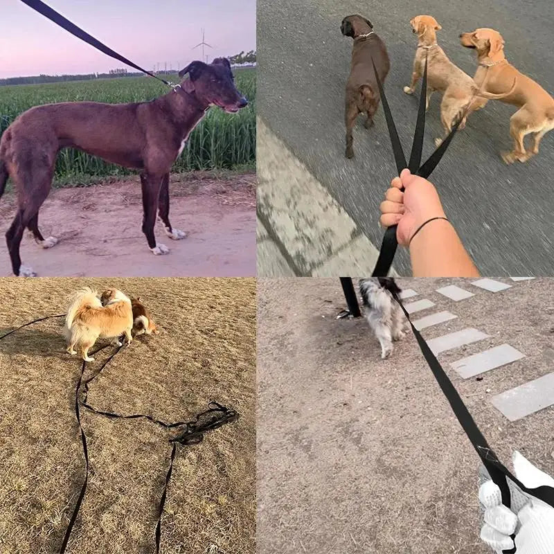 CURAPETS Long-Run Training Leash