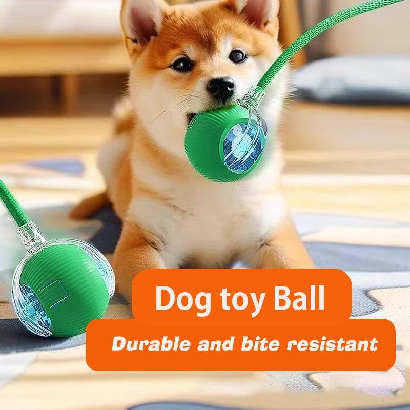 CURAPETS Smart Rolling Interactive Pet Ball