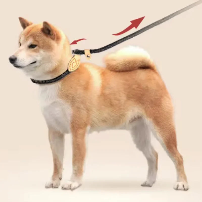 CURAPETS Braided Slip Rope Training Leash