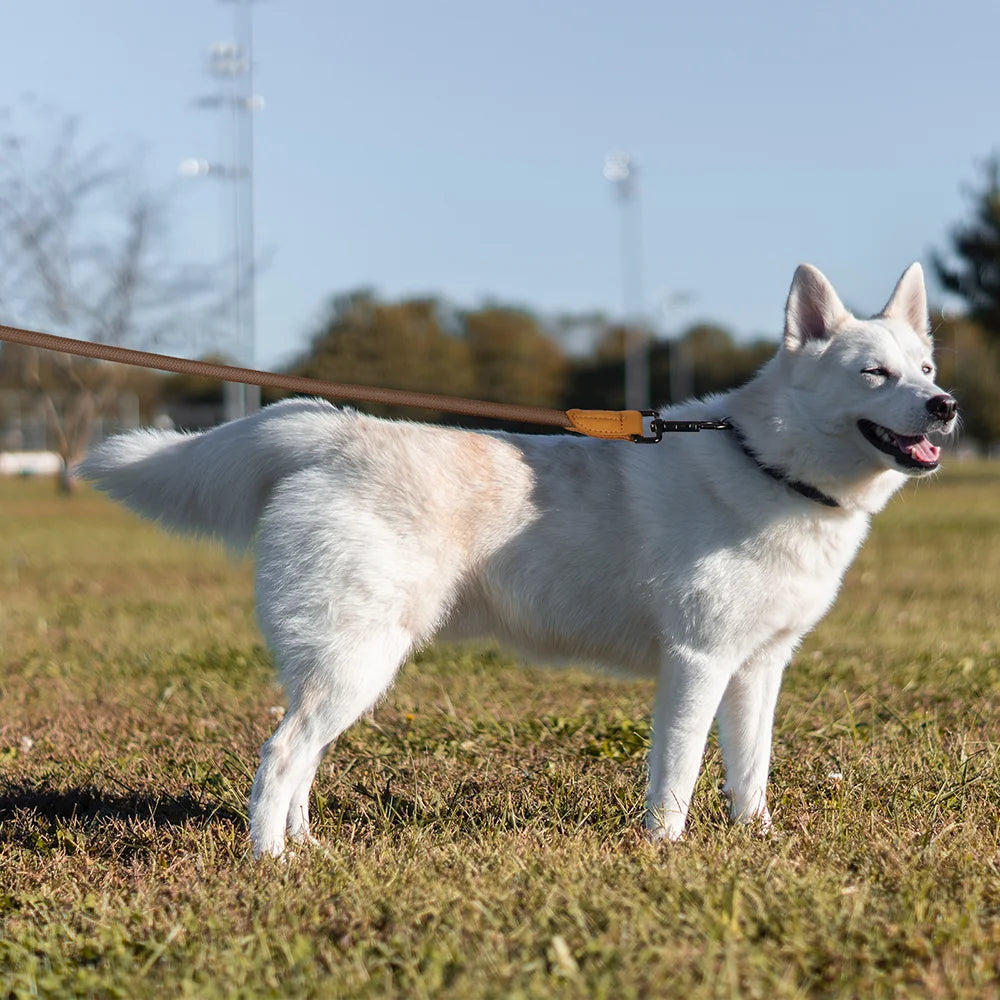 CURAPETS Hands-Free Running Dog Leash