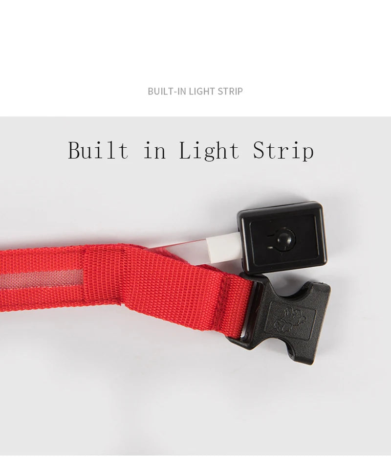 CURAPETS Luminous LED Night Safety Collar