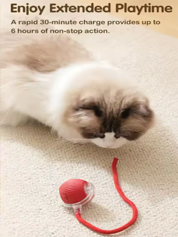CURAPETS Intelligent Interactive Play Ball