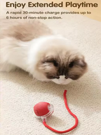 CURAPETS Intelligent Interactive Play Ball